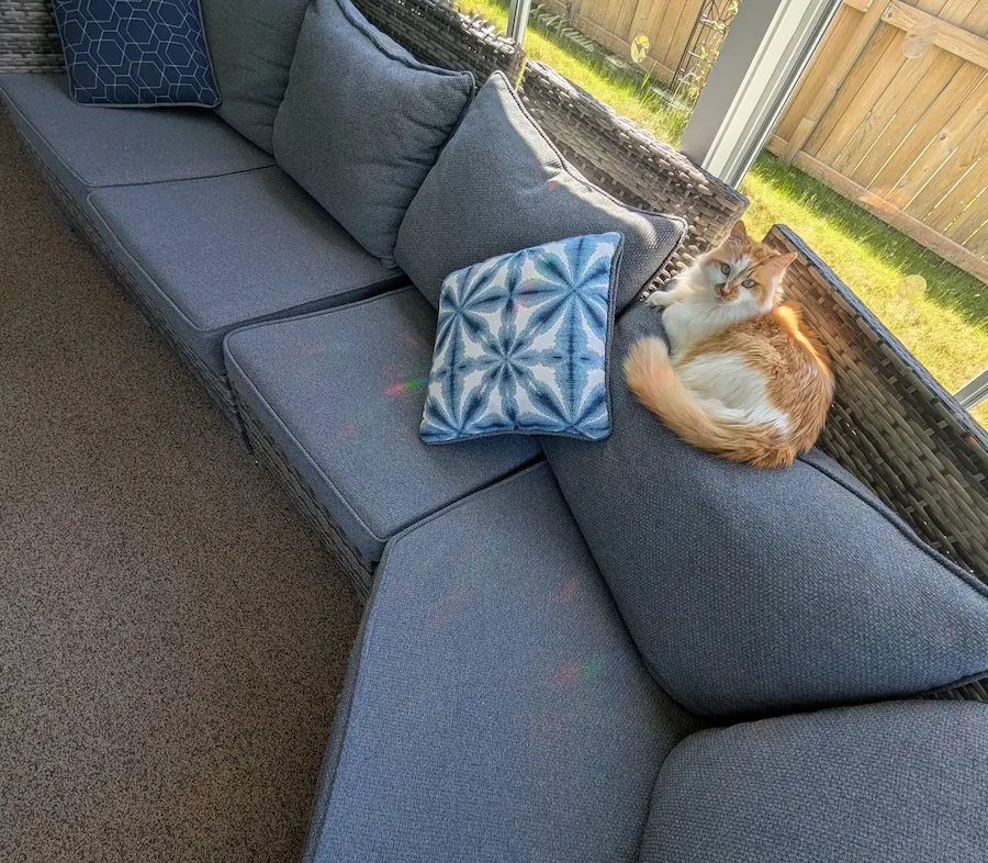 Freshly cleaned sofa for